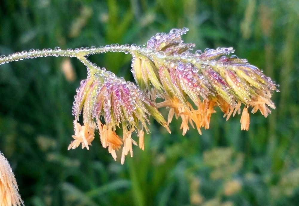 Фотография автора Eleonora