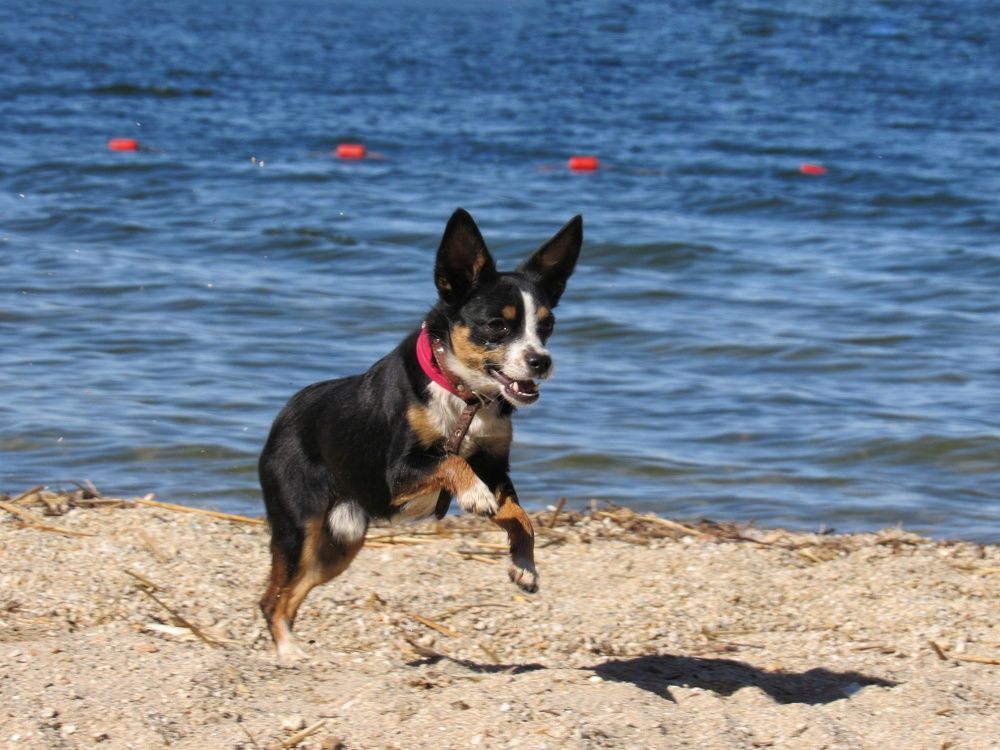 Photograph by Марина Савченко