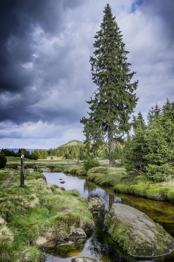 Photograph by Peter Hennig