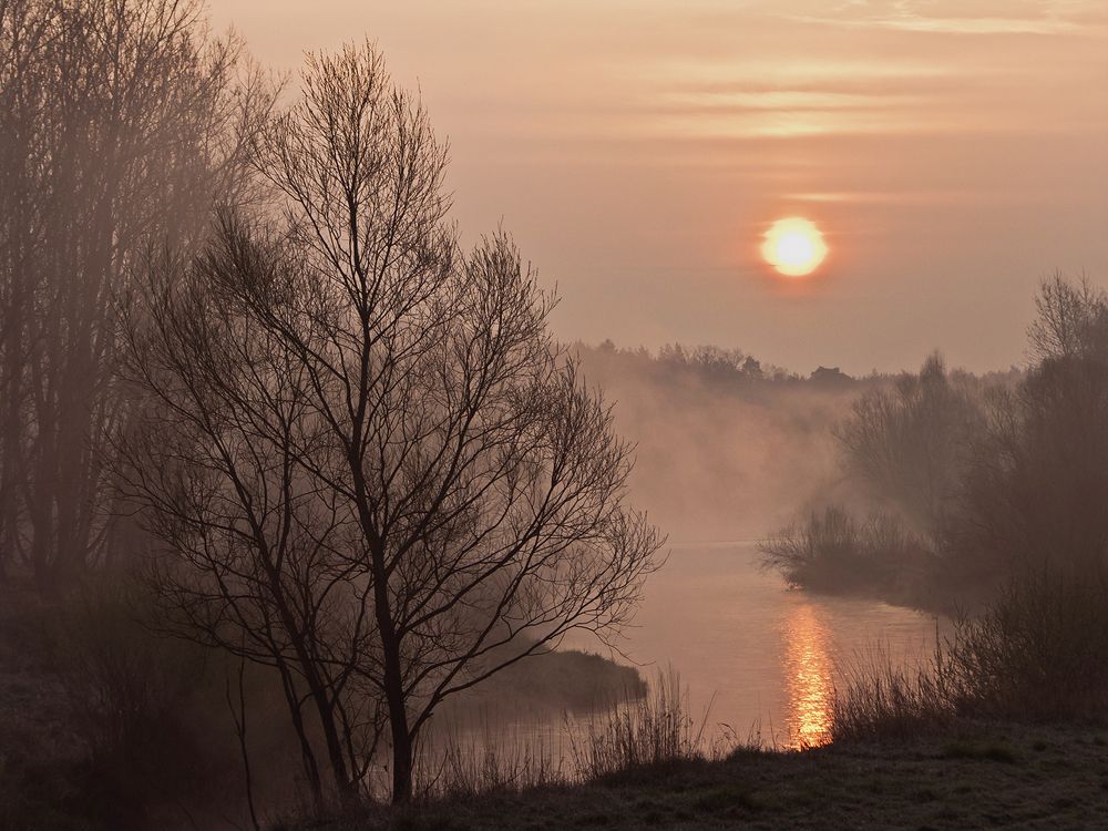 Photograph by Peter Hennig