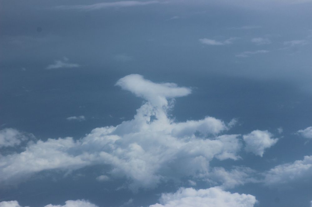 Photograph by Анна Чадова