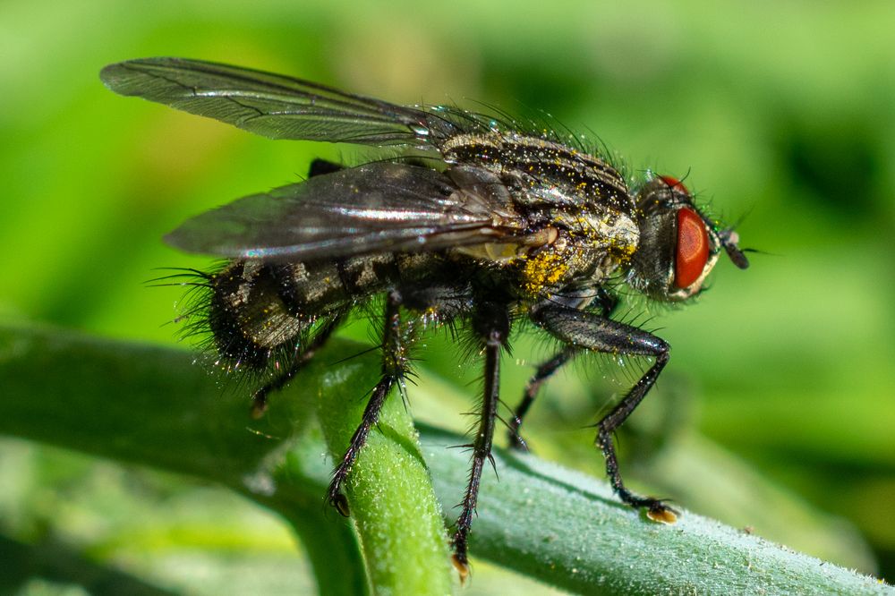 Photograph by Юлия Боровкова