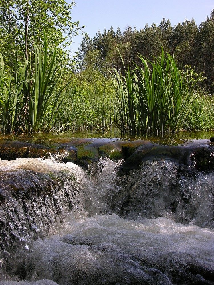 Photograph by Юрий Яковлев