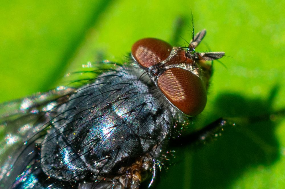 Photograph by Юлия Боровкова