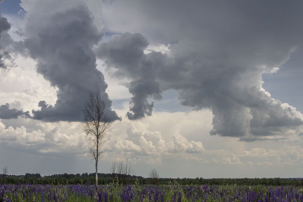 Photograph by Vladlen