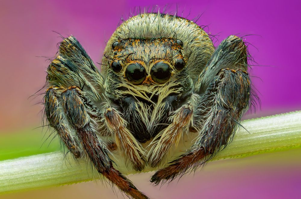 Photograph by Иван Радьков