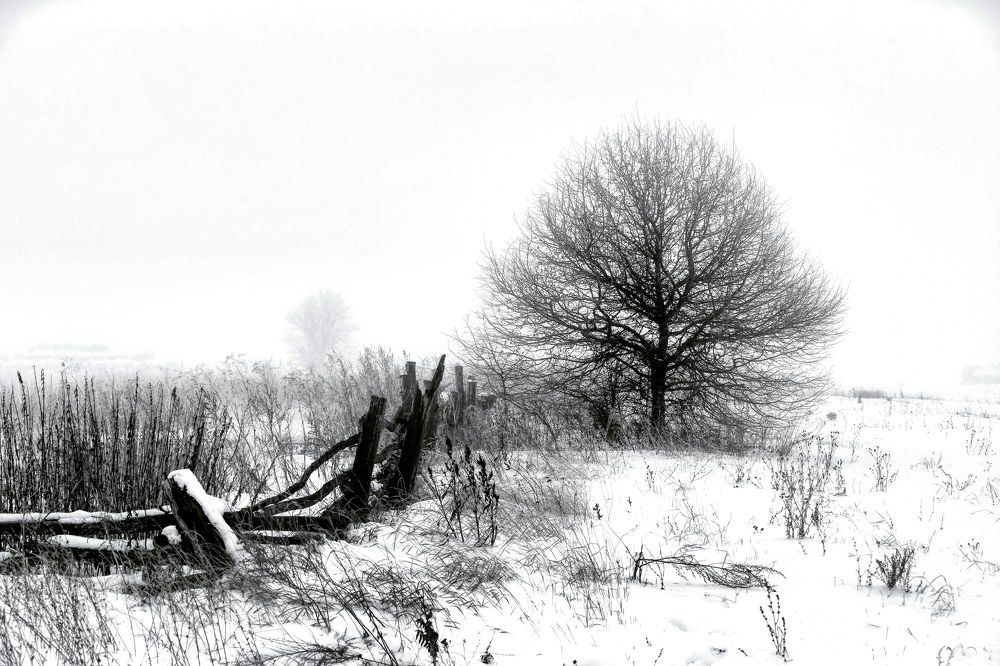 Photograph by Николай Скользнев