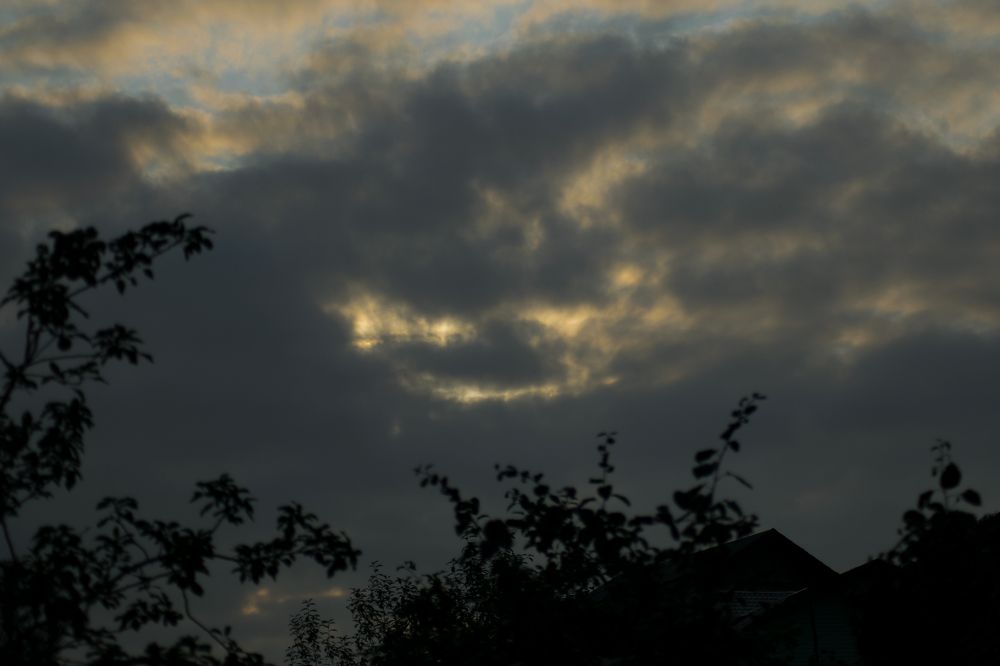 Photograph by Александра Лукашевич