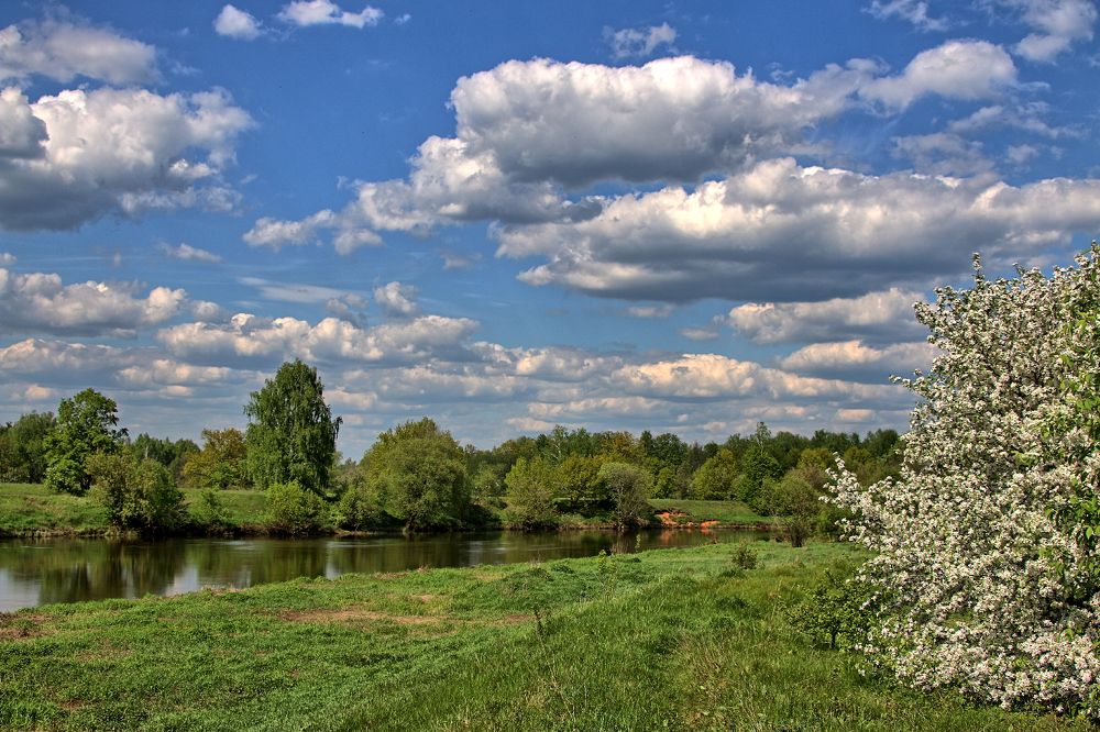 Photograph by Алексей Федулов