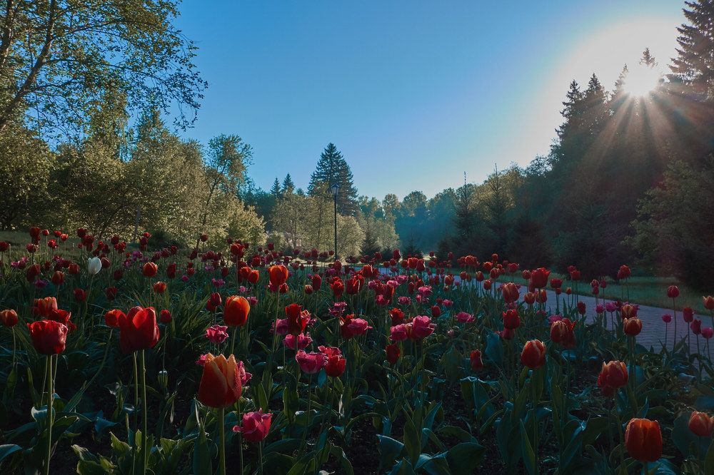 Photograph by Алексей Приешкин