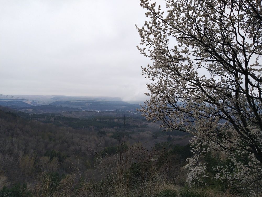 Photograph by Ирина Кулагина