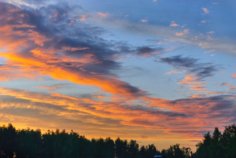 Photograph by Дементьев Владимир