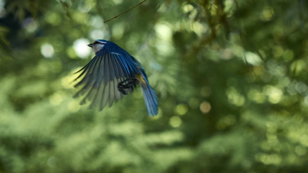 Photograph by Игорь Чернецкий