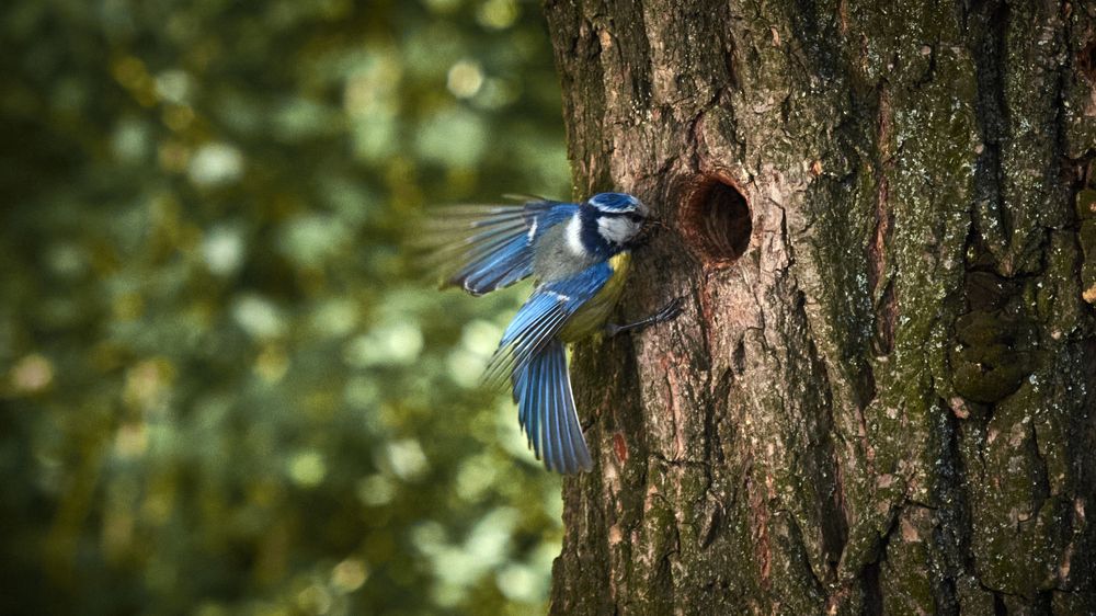 Photograph by Игорь Чернецкий