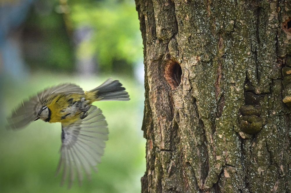 Photograph by Игорь Чернецкий