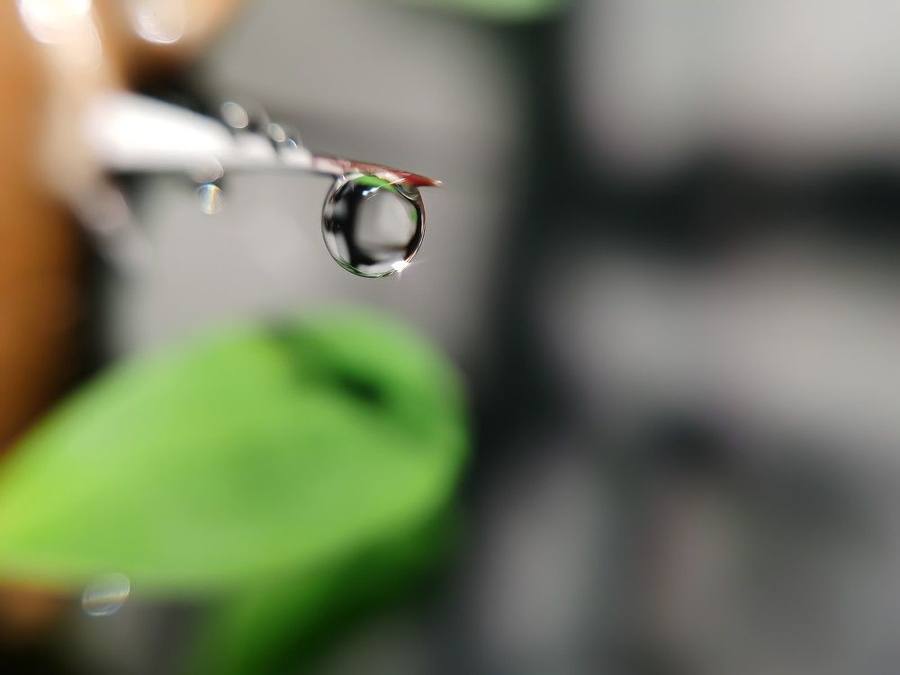 Photograph by Sarah Pouryousef