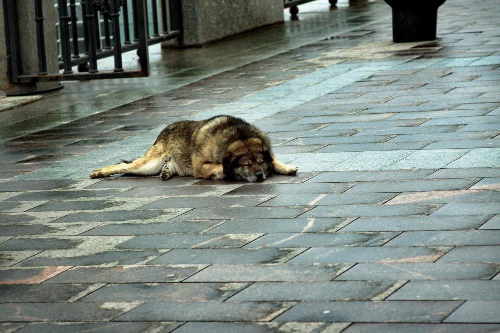 Photograph by АНДРЕЙ Роев