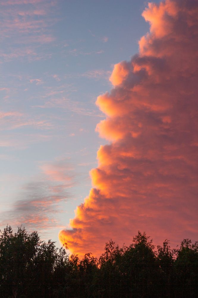 Photograph by Елена Хорохорина