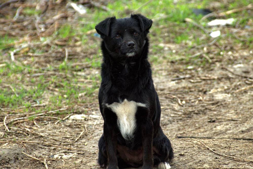 Photograph by АНДРЕЙ Роев