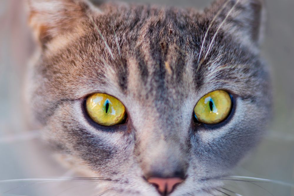 Photograph by Evgeniia Iakimenko