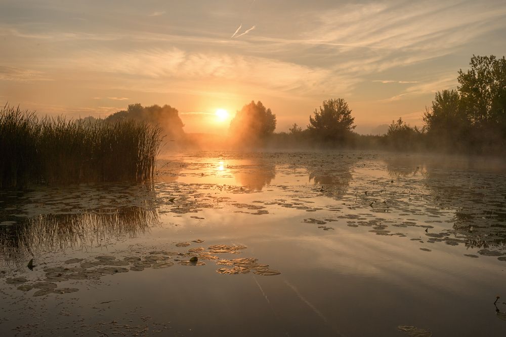 Photograph by Юлия Лаптева