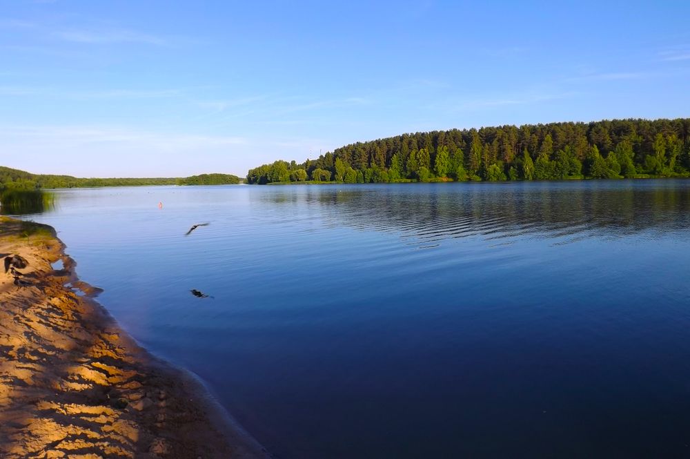 Река Свислочь