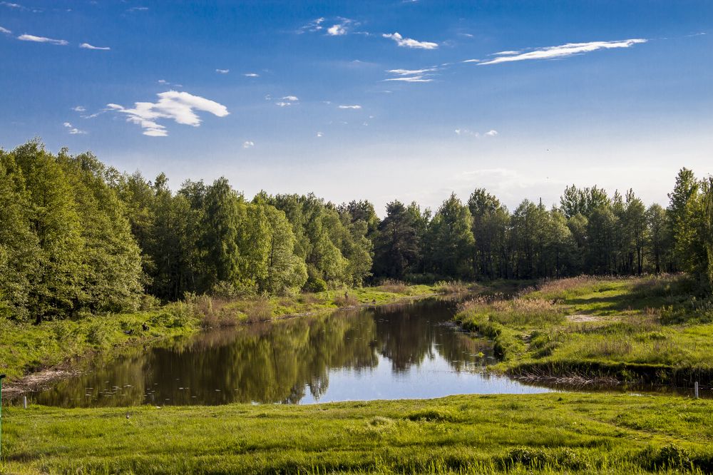 Канал реки Случь