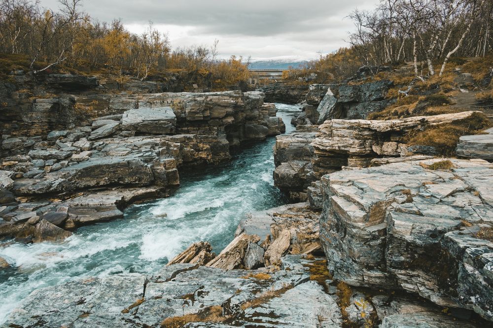 Photograph by Светлана Краюшкина