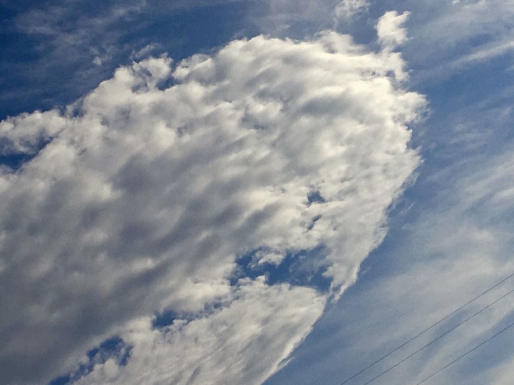 Photograph by Елена Ким