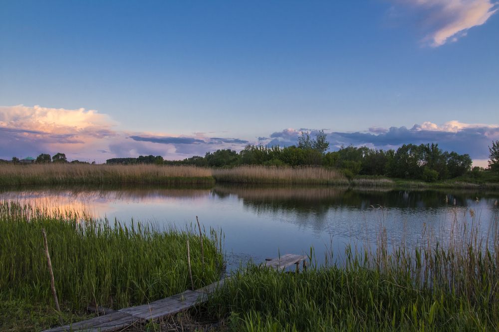 Photograph by Дмитрий Тимин