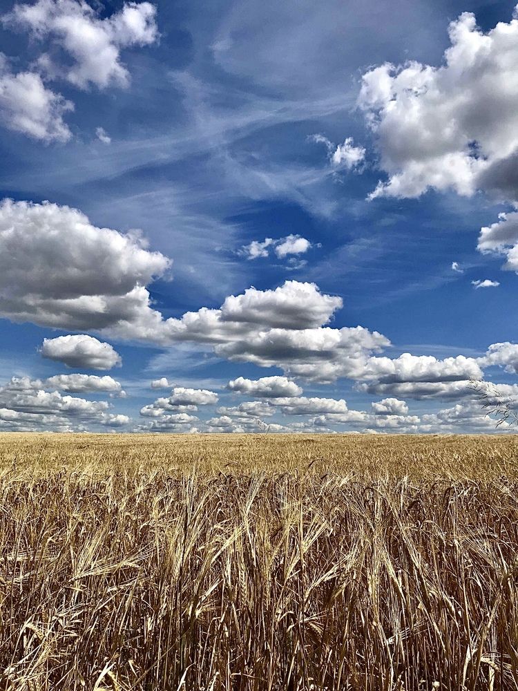 Photograph by Шестакова Наталья