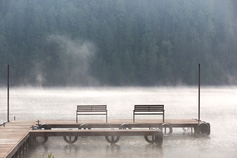 Photograph by Фирдаус Карипова