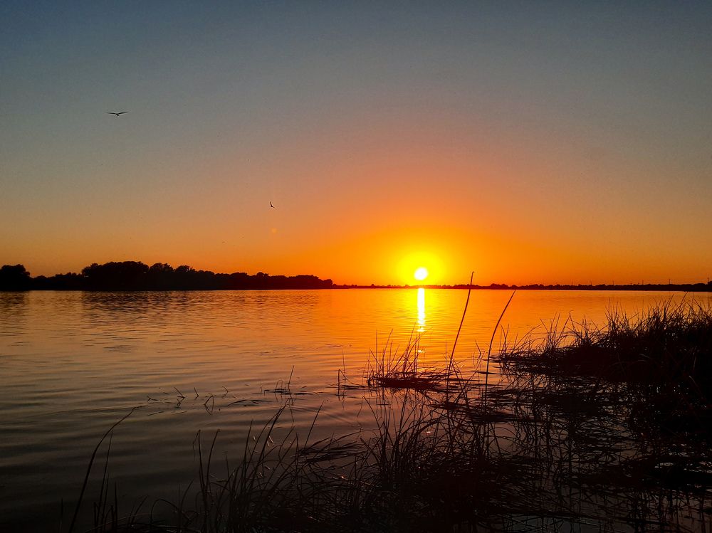 Photograph by Марина Шаповаленко