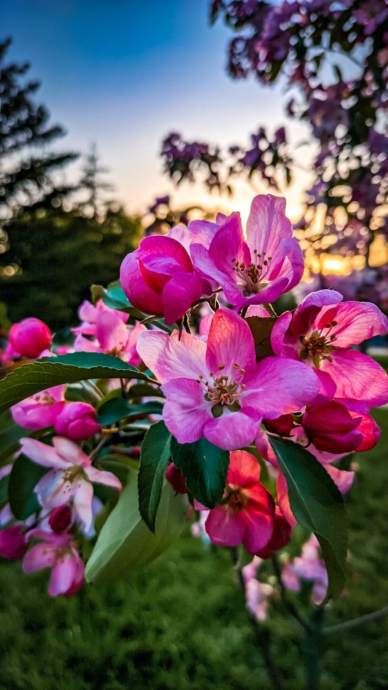 Photograph by Georgy Ivanov