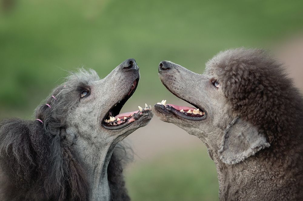 Photograph by Чистякова Валерия