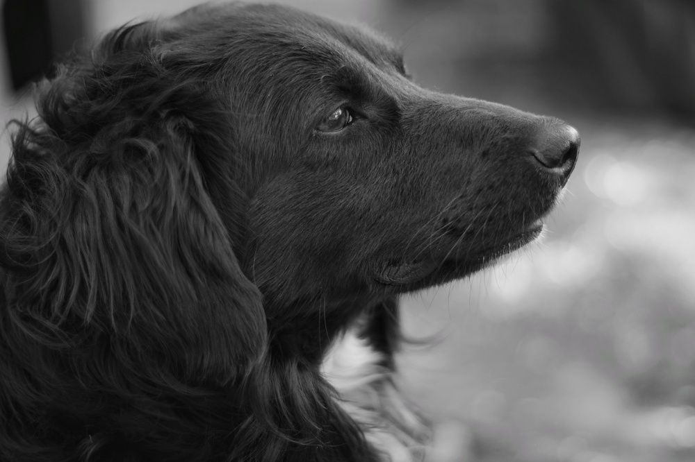 Photograph by Гульжан Шарипова