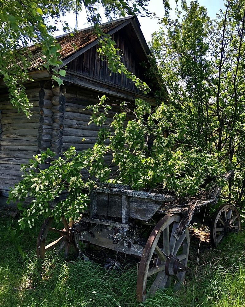 Photograph by Шестакова Наталья