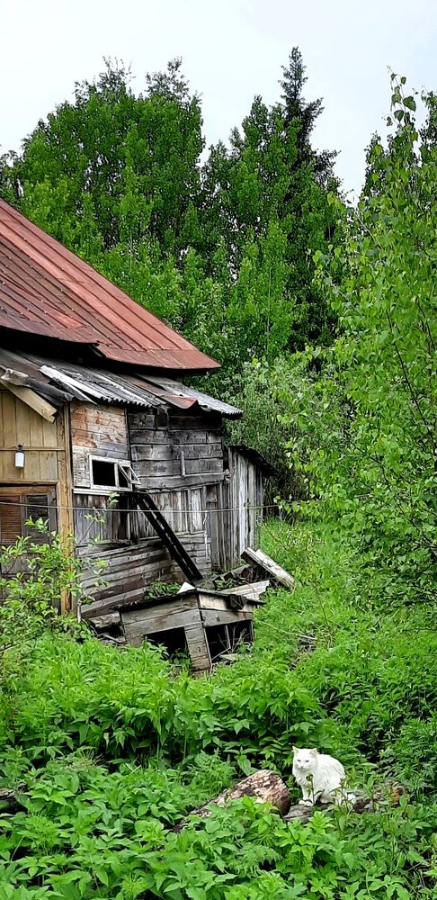 Photograph by Юлия Булатова