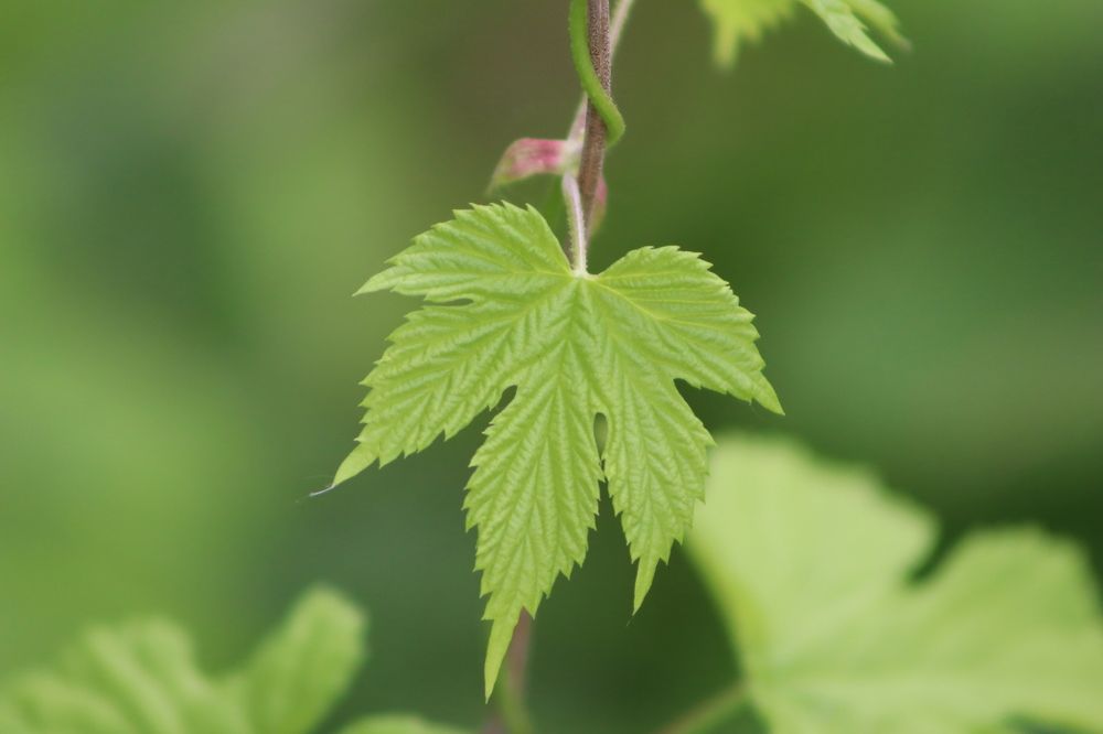 Photograph by Денис Геранькин