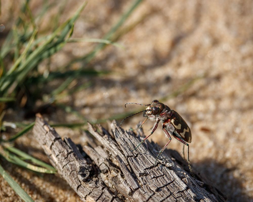 Фотография автора Сыч Римма