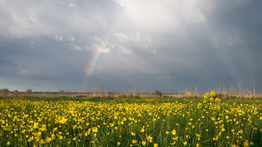 Фотография автора Сыч Римма