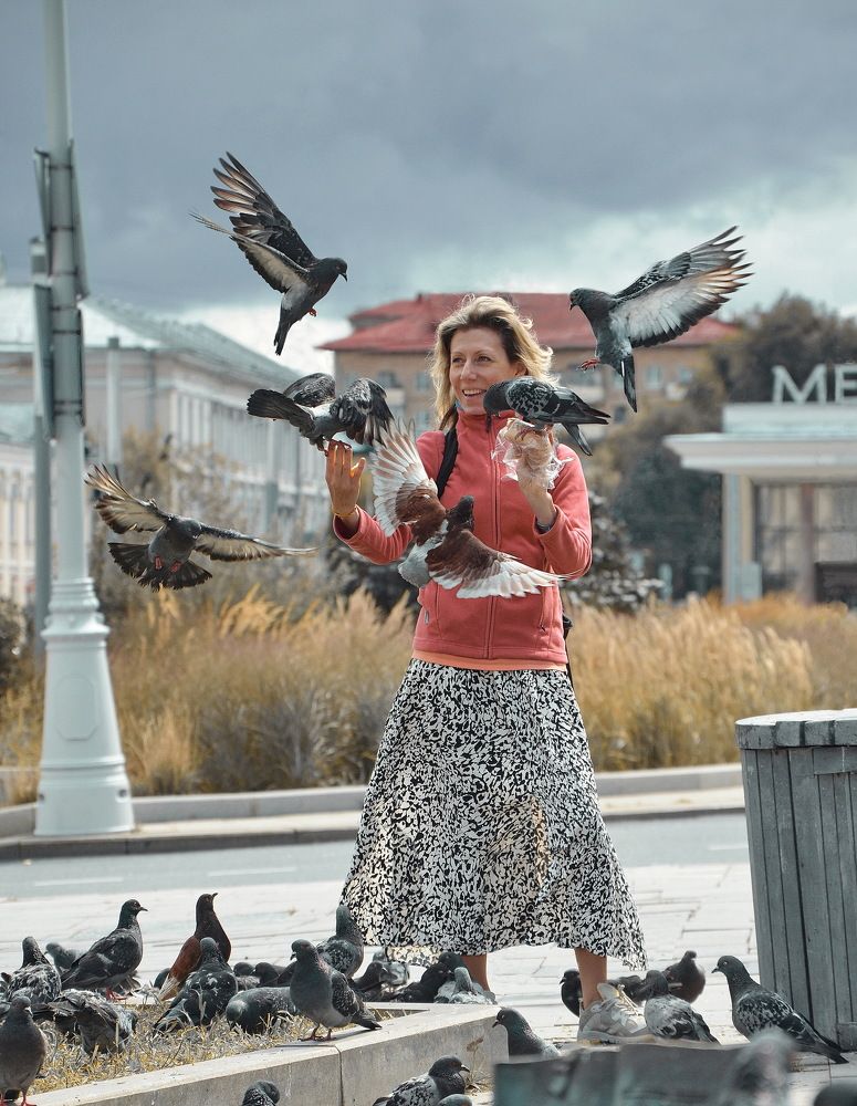 Кормление голубей