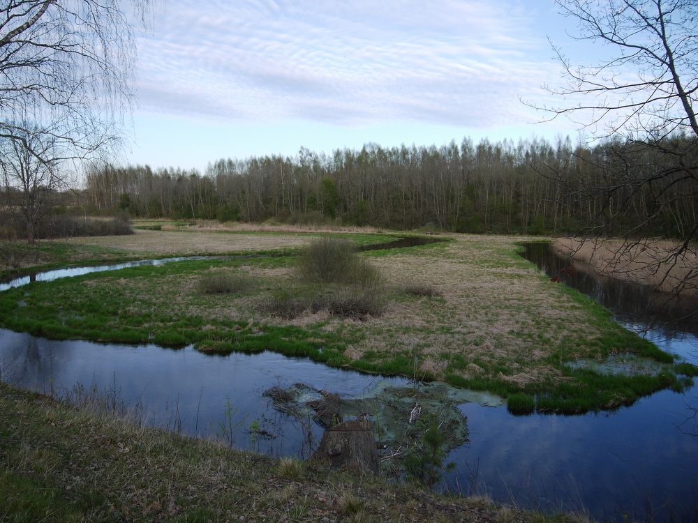 Photograph by Иван Скрипкин