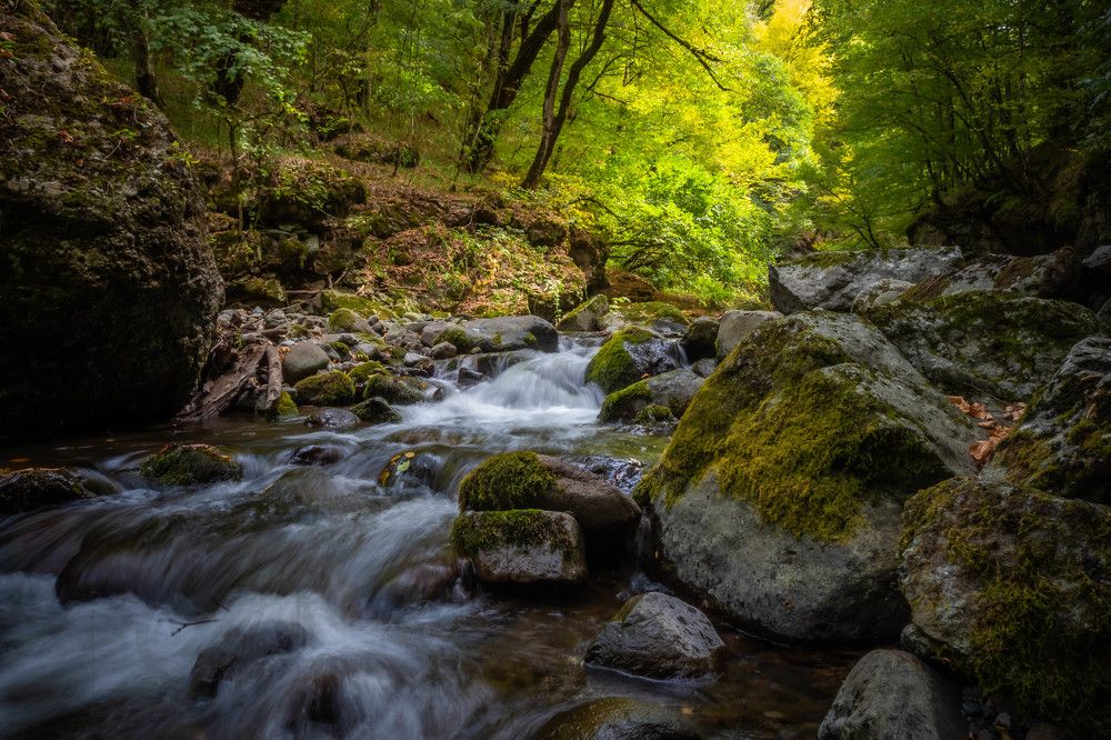 Фотография автора Севак Асрян
