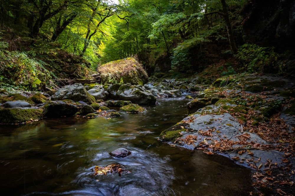Фотография автора Севак Асрян