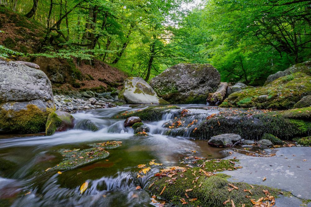 Фотография автора Севак Асрян