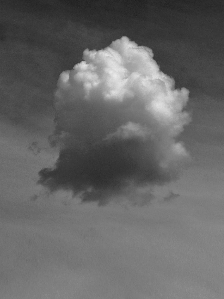 Воздушная медуза