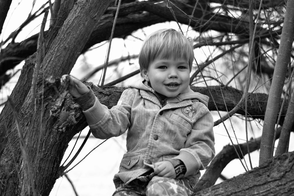 Photograph by Инна Новокшонова