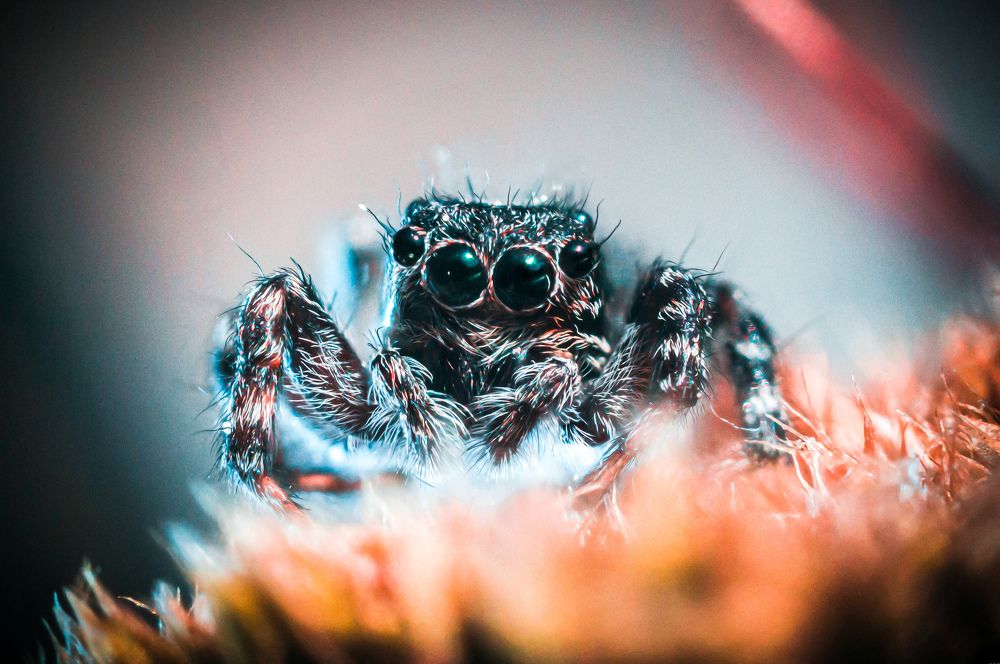 Океаны глаз