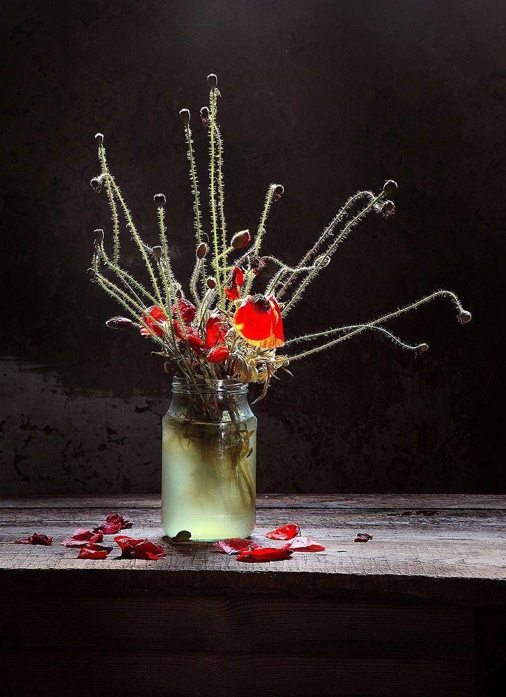 Photograph by Марина Володько